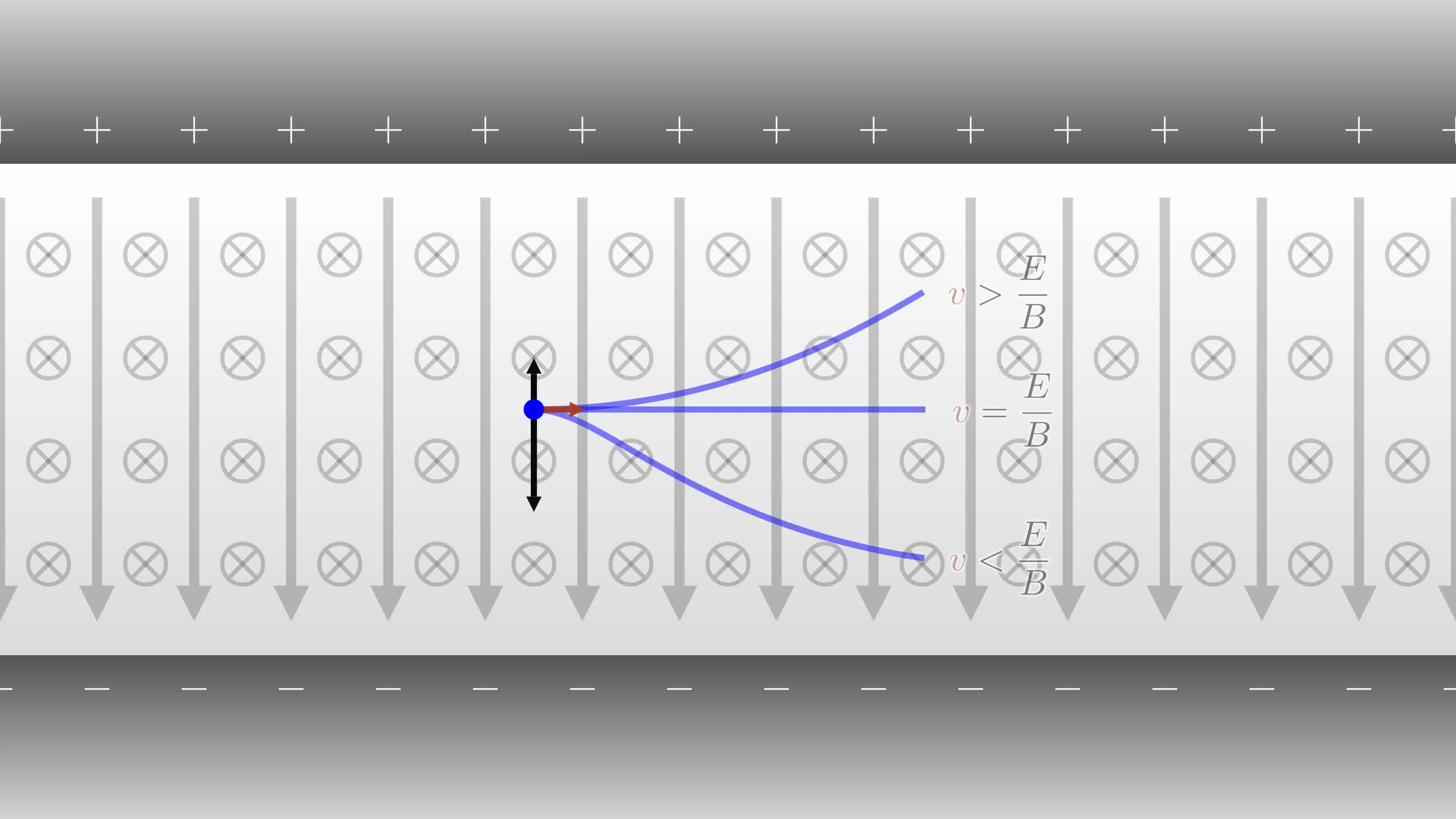 Eitt af myndböndunum sýnir hraðasíu.